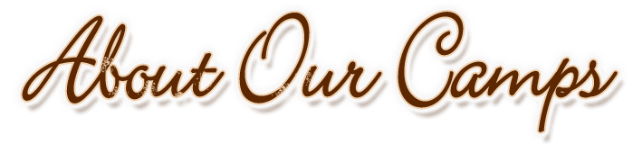 About Us