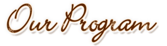 Our Program