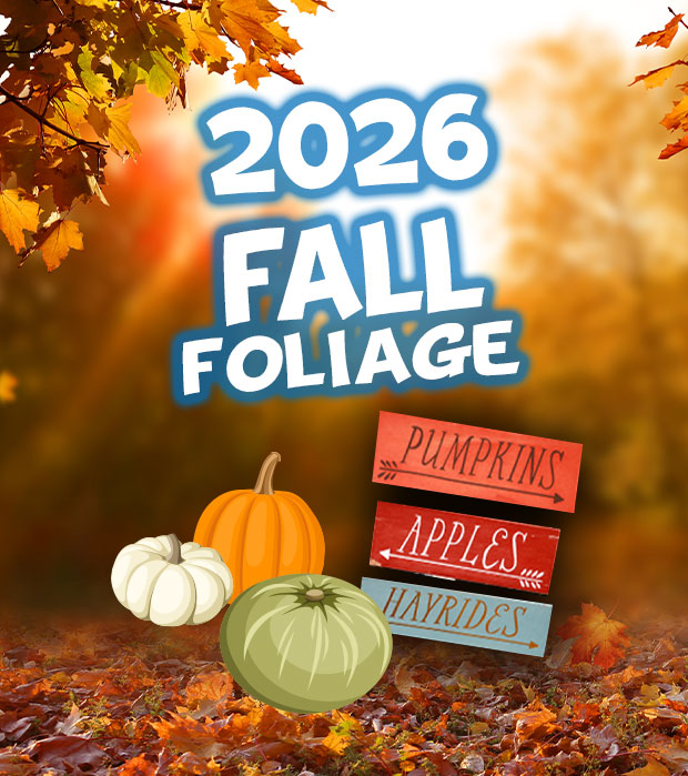 2026 Fall Foliage