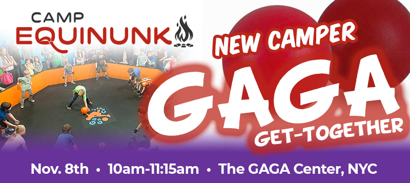 Equinunk New Camper Gaga Get-Together